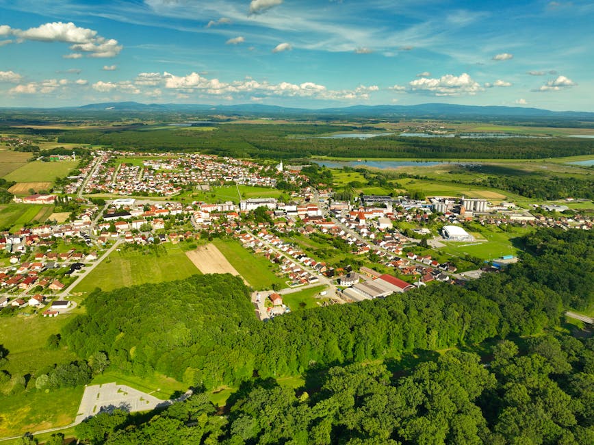 Výskum spotrebiteľského správania a analýza nákupných vzorcov na slovenskom trhu
